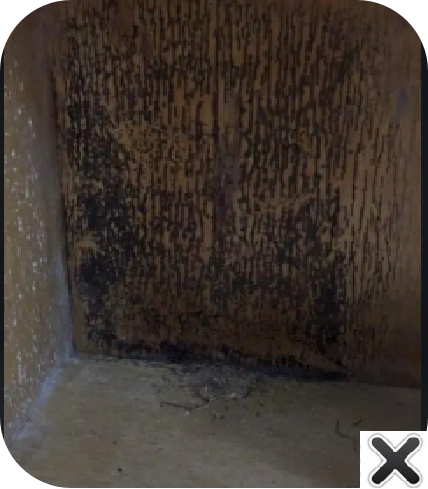 1678498369169 1678498369169