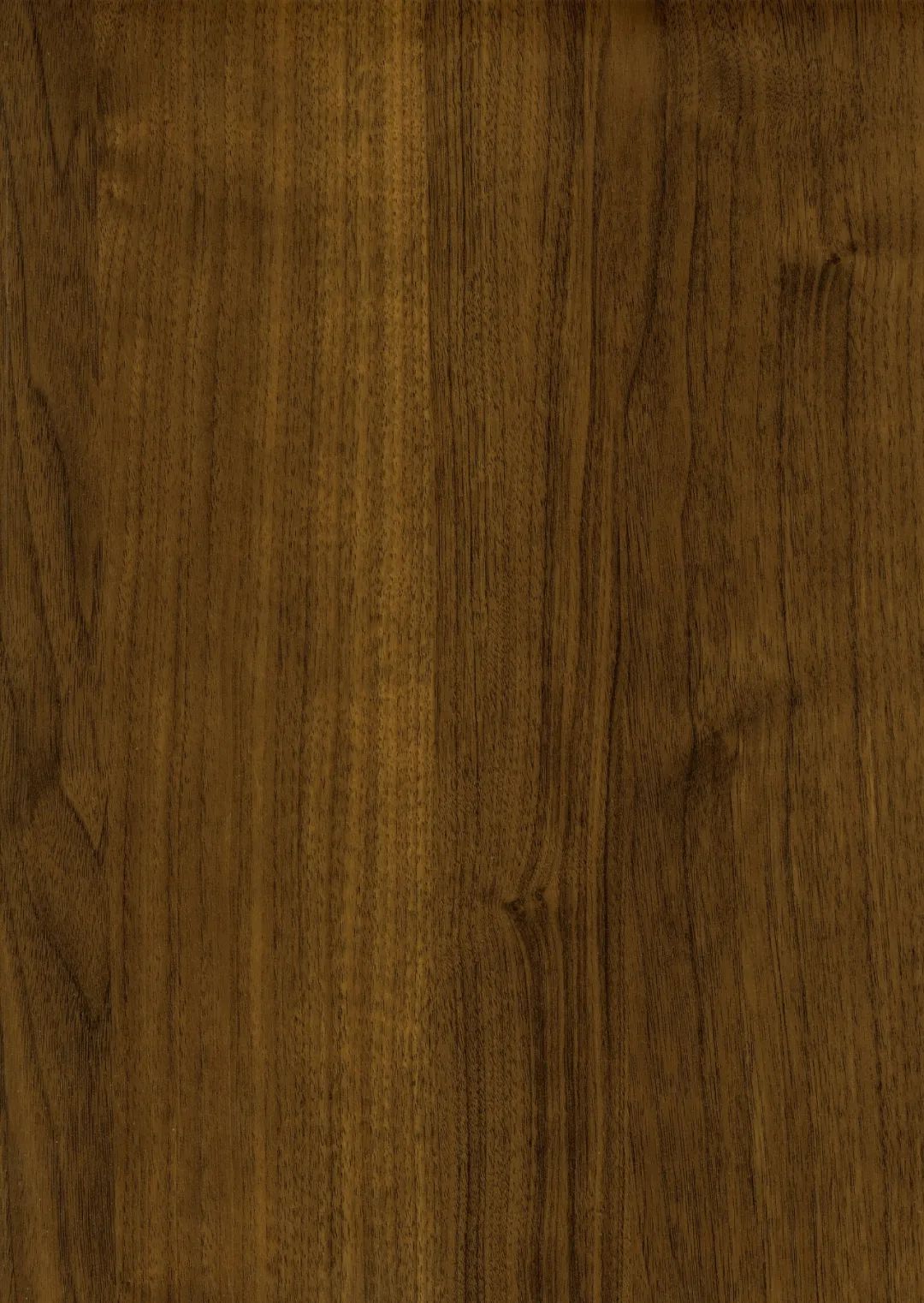 0ad44d0cdc925c654a89b16b1e355183_640_wx_fmt=jpeg&wxfrom=5&wx_lazy=1&wx_co=1